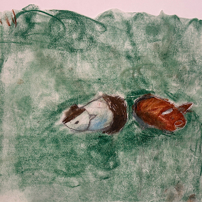 Guinea Pigs, Crayon on Paper, 2024 (11x11")